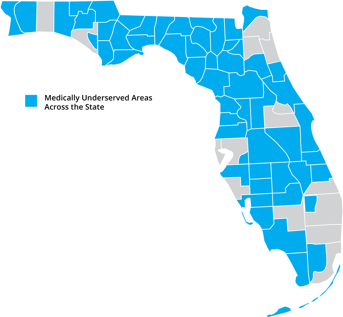 Medically Underserved Map of Florida