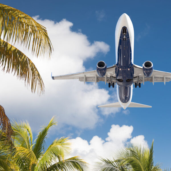 Bottom View of Passenger Airplane Flying Over Tropical Palm Trees.